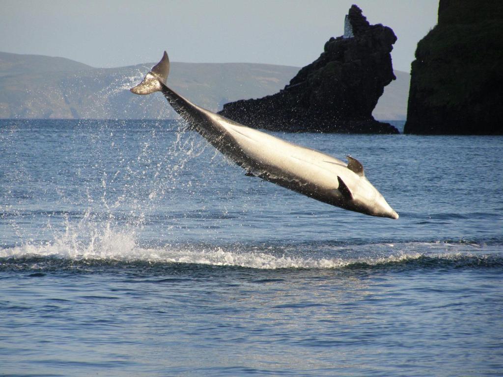 Dingle Skellig Hotel Bagian luar foto